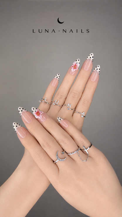 Polka  Bloom